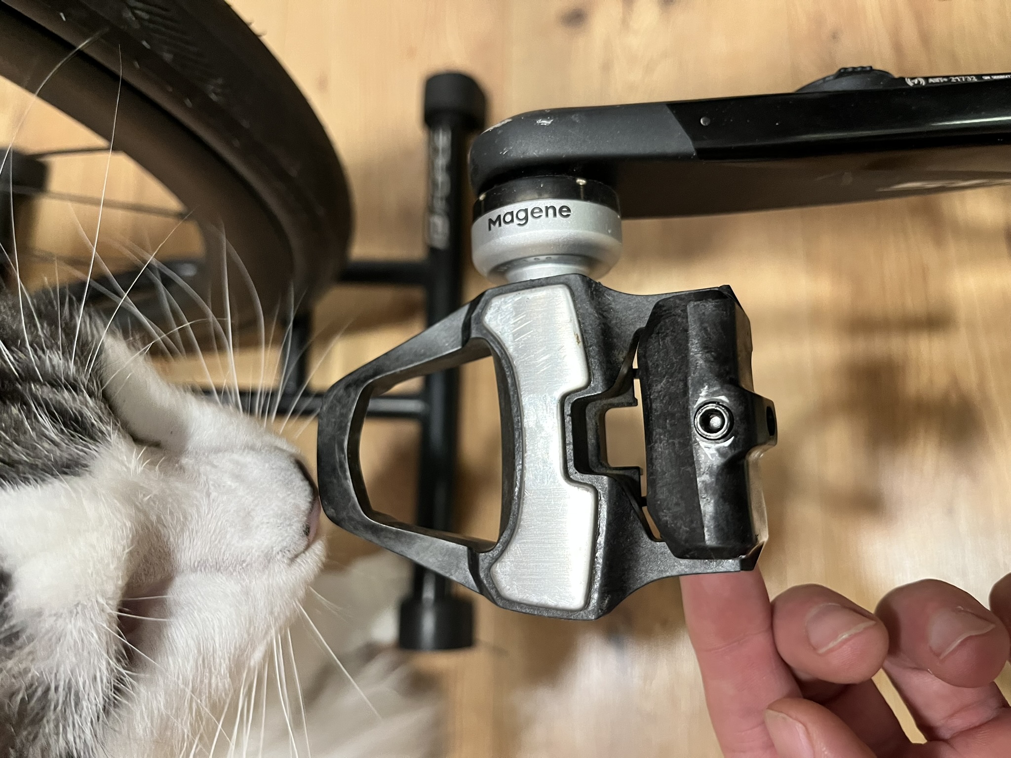 Magene P715s CatControls